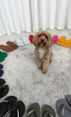 Havaianas Klipklappere - Brasil Logo - Rose Gold