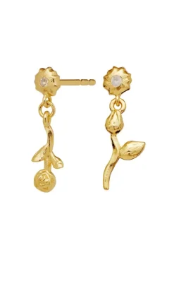 Maanesten Øreringe - Amaria - Gold Colour