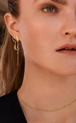 Maanesten Øreringe - Delfine - Gold Colour