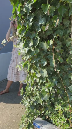 Say INA Copenhagen Kjole - Ellie - Off White W. Red Bows