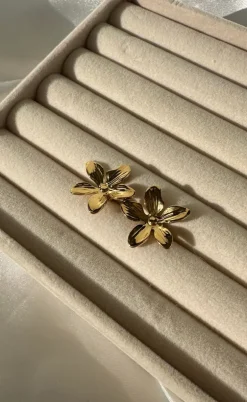 Smykkeli Copenhagen Øreringe - Milan - Gold Colour